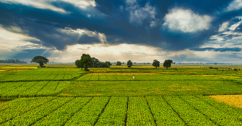 Movement to ban Chinese farmland purchases near U.S. military bases gains steam in Senate