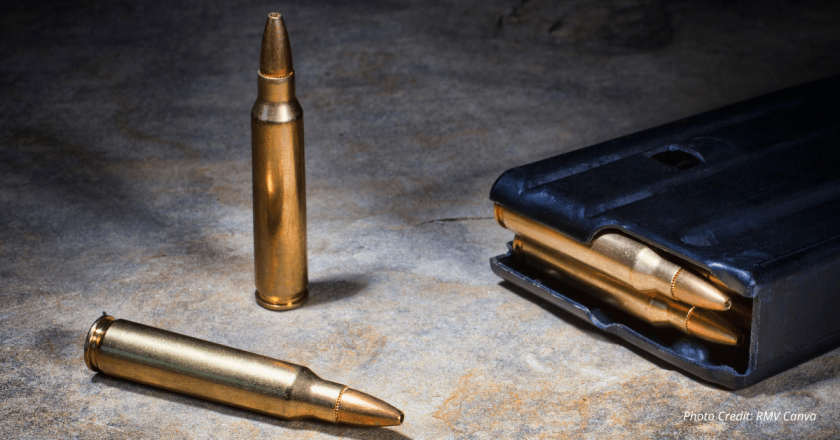 Operation Take Back America: Illegal immigrants charged after hauling 180K rounds of ammo into Colorado